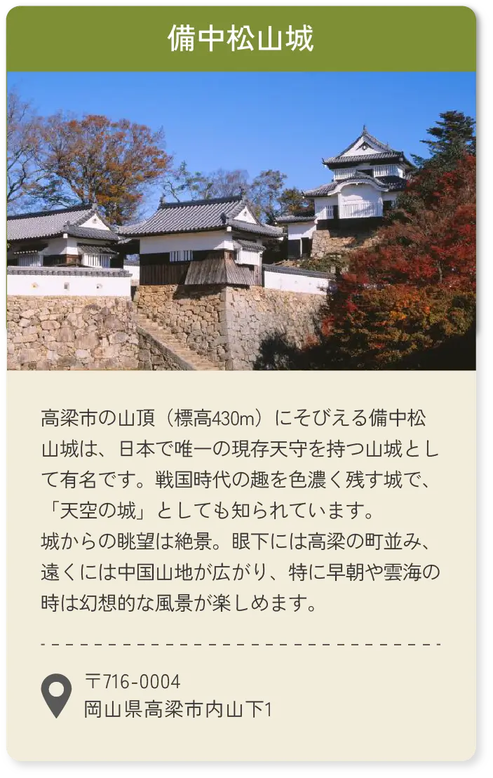 備中松山城