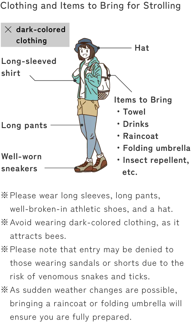 散策時の服装・持ち物について