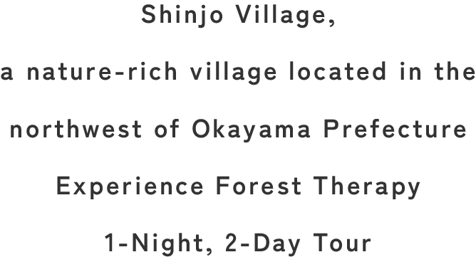岡山県新庄村で癒しの森セラピーを体験する1泊2日のバスツアー