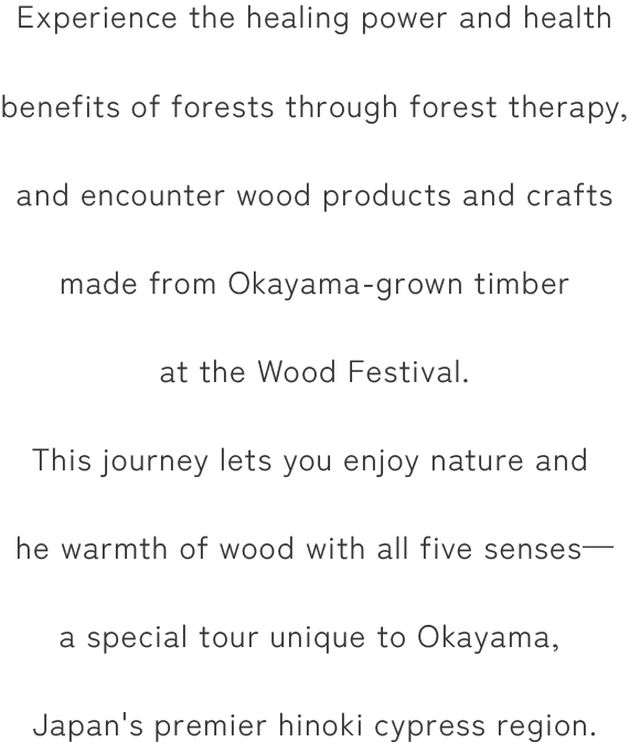 森林セラピーで森の癒しや健康効果を体感したり、木材フェスで岡山県産材の木製品や木工芸品にふれたりする旅です。五感で自然と木のぬくもりを楽しめる、日本一のひのきの国・岡山ならではの特別なツアーです。