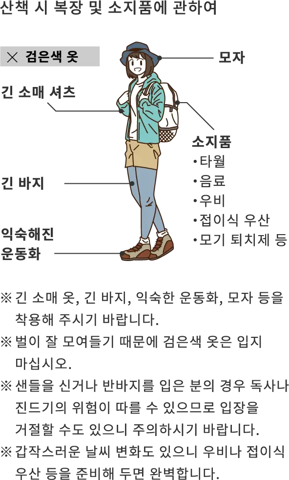 散策時の服装・持ち物について