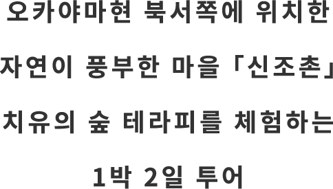 岡山県新庄村で癒しの森セラピーを体験する1泊2日のバスツアー