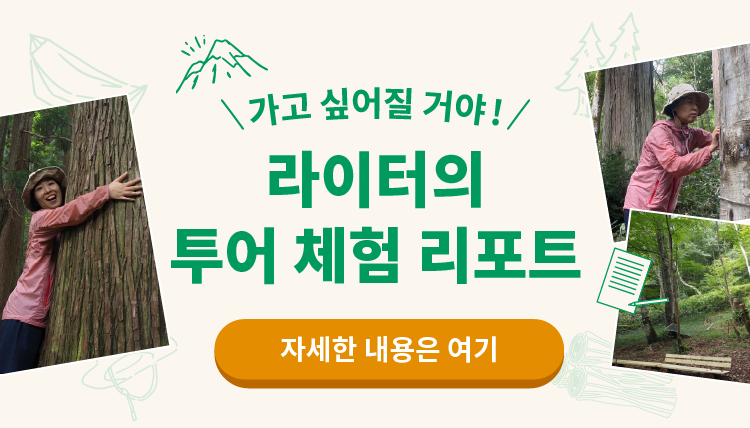 ツアー体験レポート