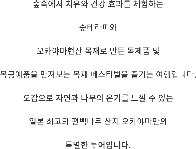 森林セラピーで森の癒しや健康効果を体感したり、木材フェスで岡山県産材の木製品や木工芸品にふれたりする旅です。五感で自然と木のぬくもりを楽しめる、日本一のひのきの国・岡山ならではの特別なツアーです。