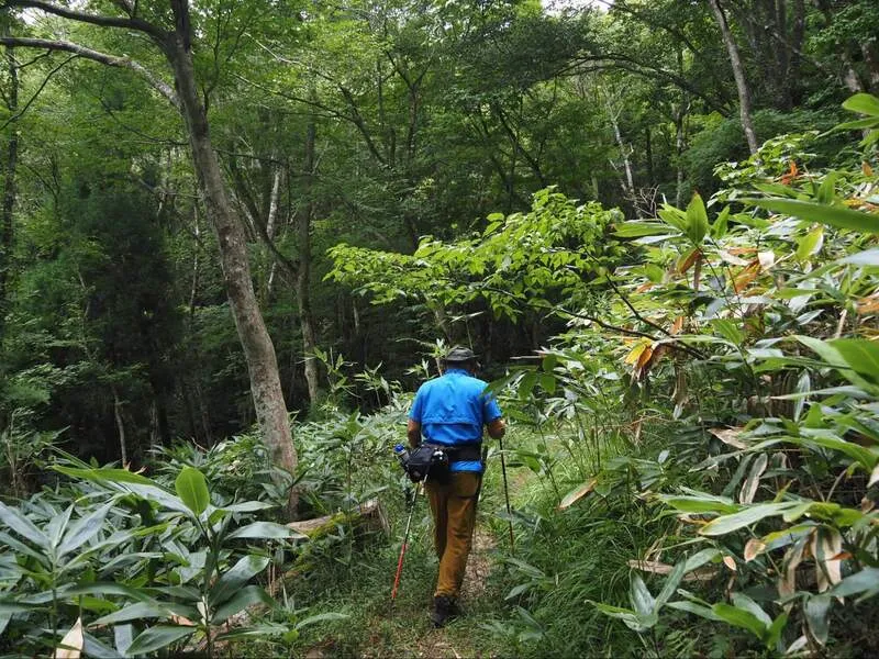 新庄村