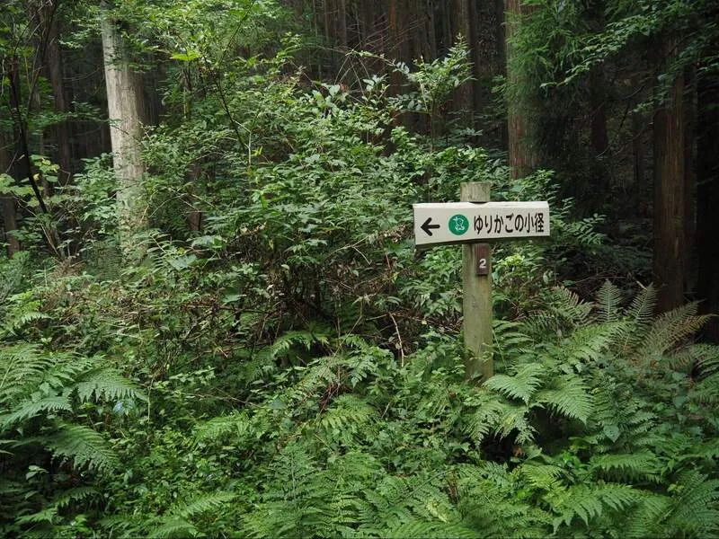 新庄村