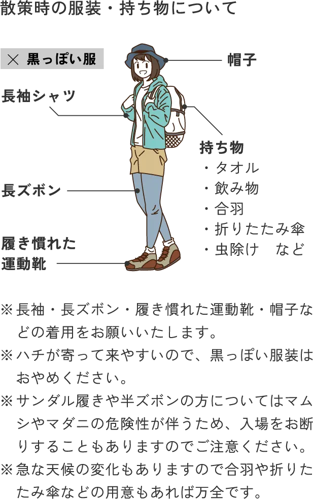 散策時の服装・持ち物について