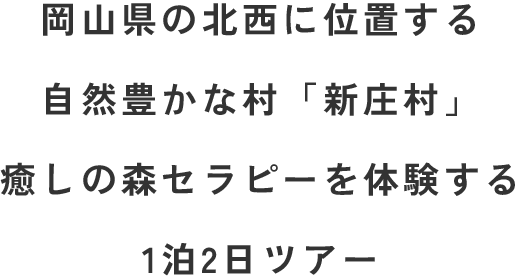 岡山県新庄村で癒しの森セラピーを体験する1泊2日のバスツアー