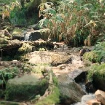 川
