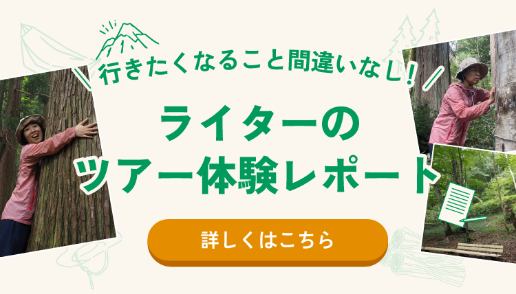 ツアー体験レポート