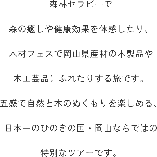 森林セラピーで森の癒しや健康効果を体感したり、木材フェスで岡山県産材の木製品や木工芸品にふれたりする旅です。五感で自然と木のぬくもりを楽しめる、日本一のひのきの国・岡山ならではの特別なツアーです。